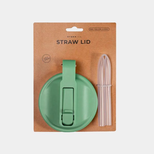 Straw Lid